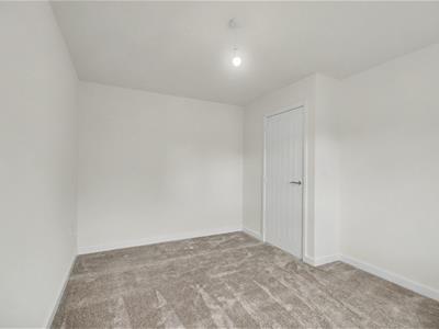 Picture 31